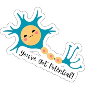 May include: A sticker featuring a cartoon neuron with a smiling yellow face and blue tendrils. The text "You've got Potential!" is written in black script below the neuron.