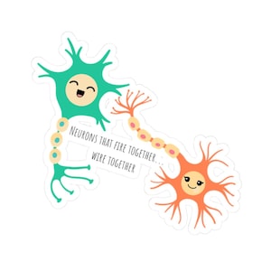Neuroni che si attivano insieme e si collegano tra loro - Adesivo a tema neuroscienze