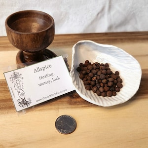 Maíz de pimienta de Jamaica