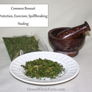 Dried Common Boneset