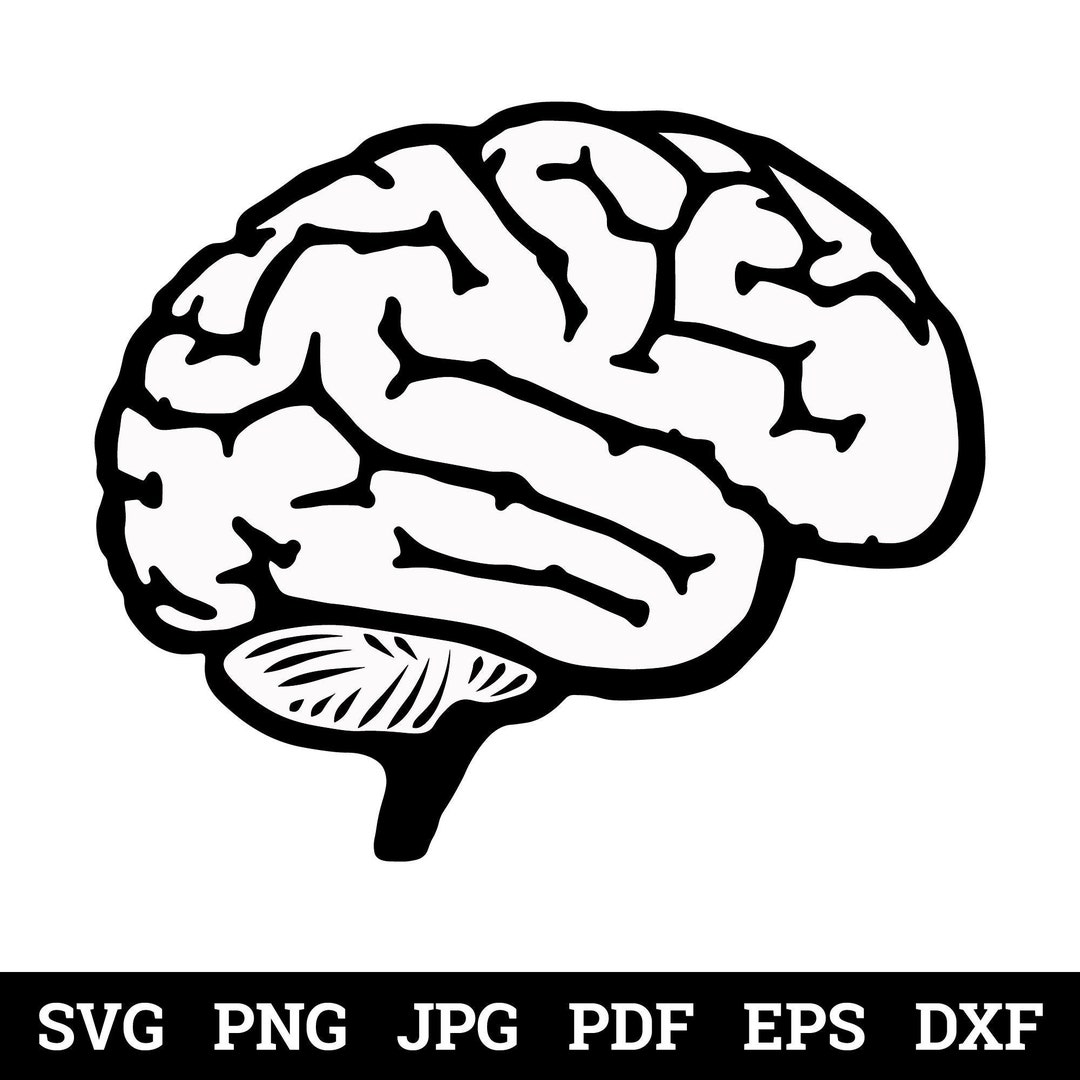 Brain Pattern Dxf Brain Digital Asset Svg, Pdf, Png, Jpg, Eps, Dxf Digital Illustration ...