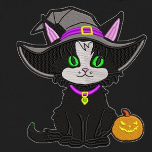 Könnte beinhalten: Eine schwarze Katze mit einem Hexenhut mit einem violetten Band und einem grünen Kürbis. Die Katze hat grüne Augen und ein violettes Halsband mit einem goldenen Anhänger.