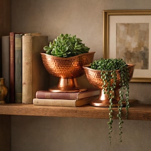 Puede incluir: Dos cuencos de metal martillado color cobre con bases de pedestal, cada uno lleno de vegetación. Los cuencos se asientan sobre una estantería de madera con libros antiguos. Un cuadro enmarcado cuelga en el fondo, añadiendo a la decoración rústica.