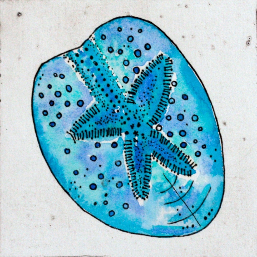 Sand Dollar Artwork Watercolour and Drypoint Sea Shell Print Etsy