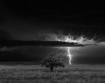 Photography Print