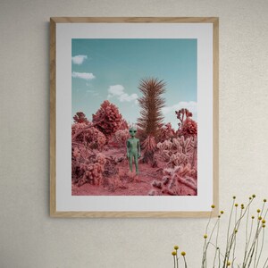 Pu&ograve; includere: Una fotografia incorniciata di un alieno verde in piedi in un paesaggio desertico con piante rosa e rosse. L'alieno indossa un abbigliamento semplice e ha un'espressione neutra. La fotografia &egrave; appesa a un muro in una stanza con un gatto, un cactus e una pianta in vaso.