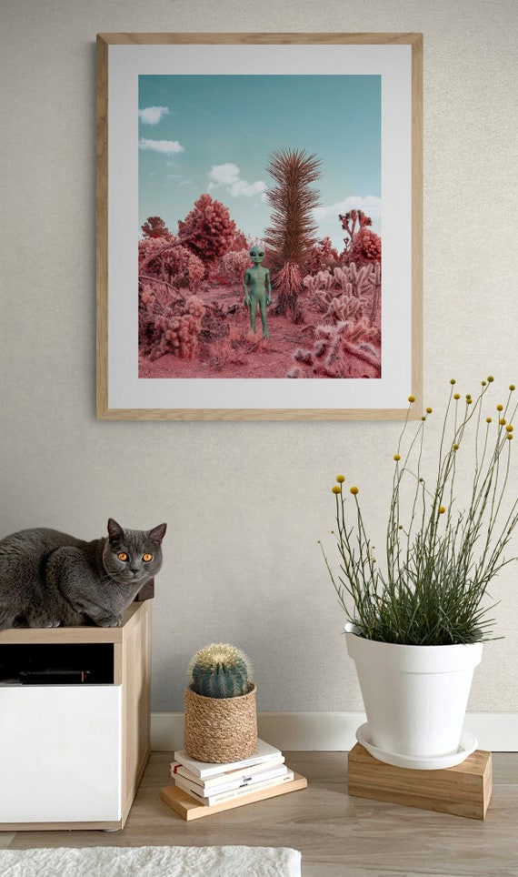 Alien print, Joshua Tree, Ca, Extra Terrestrial, little green man 16 x 20 Inches