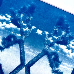 May include: A blue-toned print depicting a Joshua tree against a cloudy sky. The tree's spiky branches and trunk are visible, framed by a white border. The image has a vintage, artistic feel.