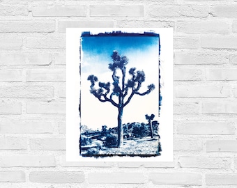 Manifesto con stampa cianotipica di Joshua Tree