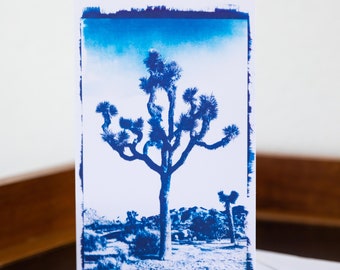 Biglietto di auguri cianotipico di Joshua Tree