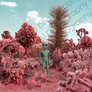 Pu&ograve; includere: Una figura aliena verde si trova in un paesaggio desertico con una variet&agrave; di cactus e altre piante del deserto. Il cielo &egrave; di un azzurro chiaro con alcune nuvole.