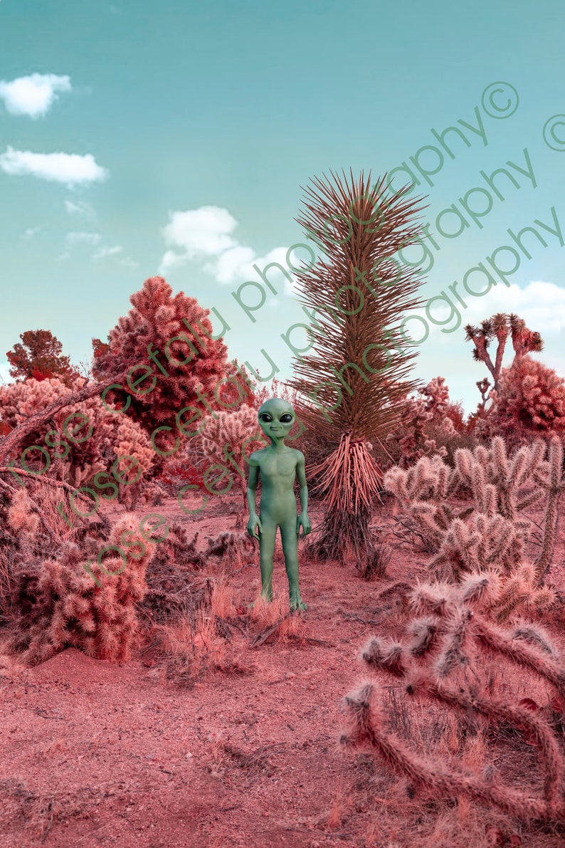 Pu&ograve; includere: Una figura aliena verde si trova in un paesaggio desertico con una variet&agrave; di cactus e altre piante del deserto. Il cielo &egrave; di un azzurro chiaro con alcune nuvole.