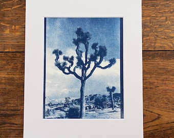 Joshua Tree Cyanotype Hand printed hand made in the High Desert