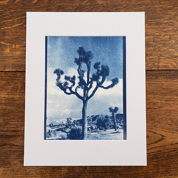 Joshua Tree Cyanotype Imprimé à la main dans le haut désert