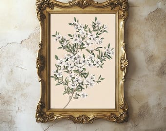 Vintage White Flower Drawing: Botanical Art Print (Digital Download) 346