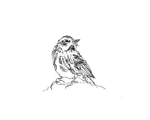 Bird Art Giclee Print Warbler Songbird Line Drawing Etsy Bird Art Giclee Print Warbler Songbird Line Drawing Etsy