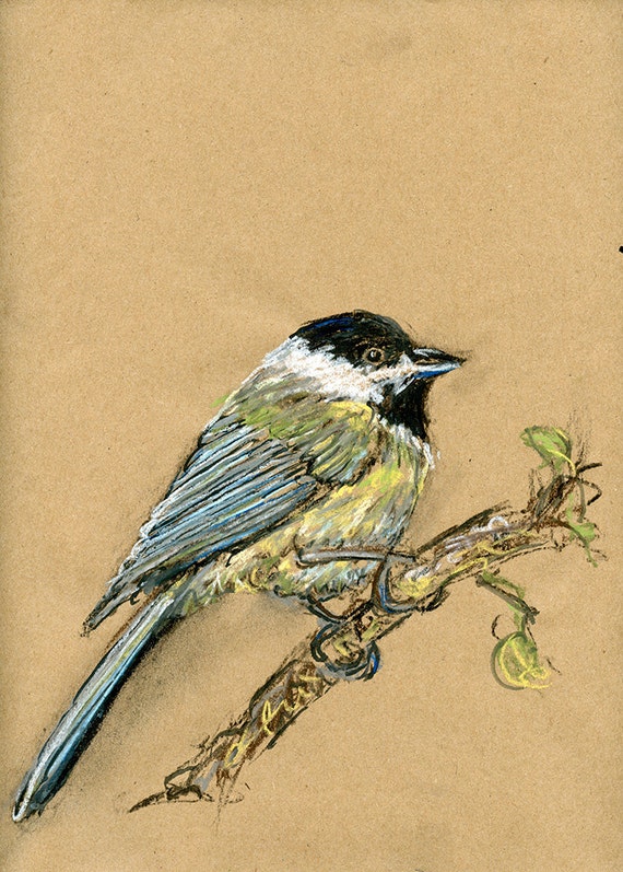Mésange Dessin Original Oiseau Art Au Fusain Craie Pastel Et Encre