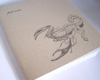 scorpion notebook - field notes for the naturalist - blank book, sketch book