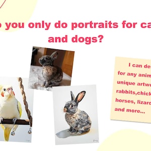 May include: A text graphic with the question "Do you only do portraits for cats and dogs?"  The graphic is surrounded by images of a bird, a rabbit, and a rabbit. The text "I can design a portrait for any animal. I've created unique artworks for birds, rabbits, chickens, pigs, horses, lizards, chinchillas, and more..." is on a yellow background.