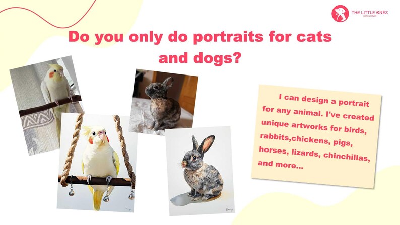 May include: A text graphic with the question "Do you only do portraits for cats and dogs?"  The graphic is surrounded by images of a bird, a rabbit, and a rabbit. The text "I can design a portrait for any animal. I've created unique artworks for birds, rabbits, chickens, pigs, horses, lizards, chinchillas, and more..." is on a yellow background.