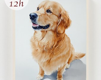 Custom Watercolor Pet Portrait Using Pet Photo,Personalized Dog Cat Painting, Custom Pet Memorial Art, Digital Portrait Gift