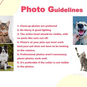 May include: A guide with text and images on how to take good photos of pets for online listings. The text includes tips like using good lighting, taking close-up photos, and avoiding blurry images. The images show examples of good and bad photos.