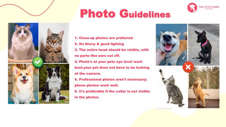 May include: A guide with text and images on how to take good photos of pets for online listings. The text includes tips like using good lighting, taking close-up photos, and avoiding blurry images. The images show examples of good and bad photos.