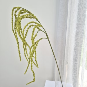 May include: A single, long, green stem of artificial amaranthus, with multiple cascading strands of small, yellow-green buds. The stem is placed in a tall, clear glass vase on a white surface, with a sheer white curtain in the background.