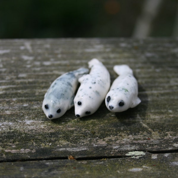 seal figurines - a little colony of harbor seals - porcelain animal miniatures