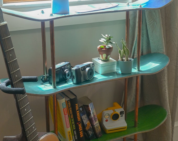 Recycled Skateboard Shelf