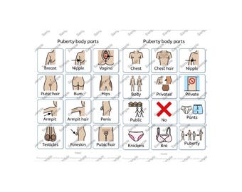 Puberty body parts Visual Communication Cards: Special Needs, Autism, ADHD (Digital Download)