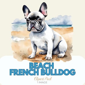 Bulldog francese sulla spiaggia Acquerello Clipart / IMMAGINE SINGOLA / Uso commerciale / PNG trasparenti / Cane da spiaggia / Card Making Clipart
