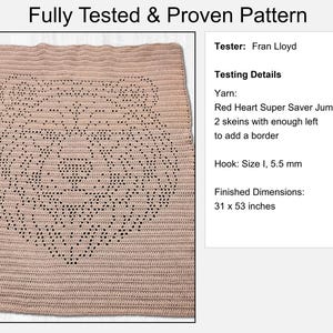 Pode incluir: Uma manta de croch&ecirc; rosa claro com um design de rosto de urso criado com pontos abertos. O texto diz: Fully Tested & Proven Pattern, Tester: Fran Lloyd, Testing Details, Yarn: Red Heart Super Saver Jumbo, Hook: Size I, 5,5 mm, 78,7 x 134,6 cm.