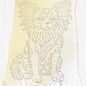 May include: A rectangular off-white crochet blanket featuring a central openwork design that forms the silhouette of a butterfly. The piece is crafted with a repeating stitch pattern, creating a textured surface with visible gaps forming the wings.