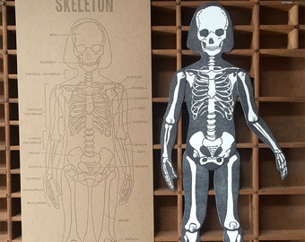 letterpress Skeleton articulated figure