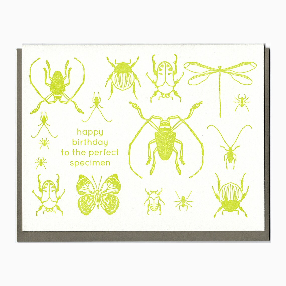 Letterpress Insects Birthday Card - Etsy