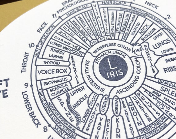 How To Read Iridology Eye Charts