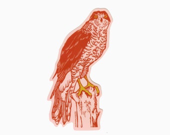 northern goshawk sticker