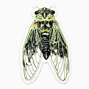 cicada sticker