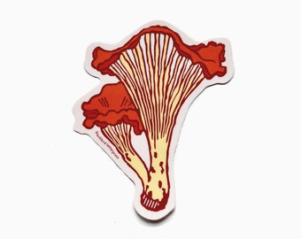 chanterelle mushroom sticker