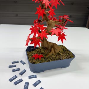 May include: A red bonsai tree with a blue pot and a set of twelve blue tiles with the months of the year written on them. The tiles are scattered around the pot.