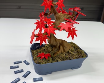 Bonsai 365 Tree Calendar - Japanese Maple Calendar for Your Desk with Monthly Features and Decorative Design