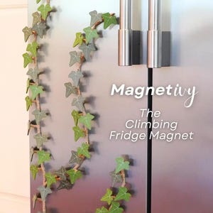 May include: A decorative fridge magnet in the shape of climbing ivy. The ivy features green and gray leaves with white veins, attached to a brown stem. The text "Magnetivy The Climbing Fridge Magnet" is visible.