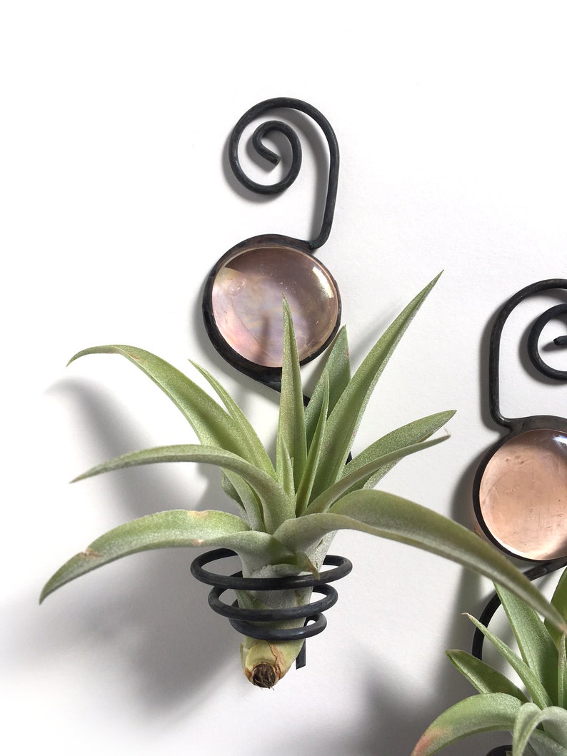 Hanging Air Plant Holders Window Hangers with Mauve Glass Etsy