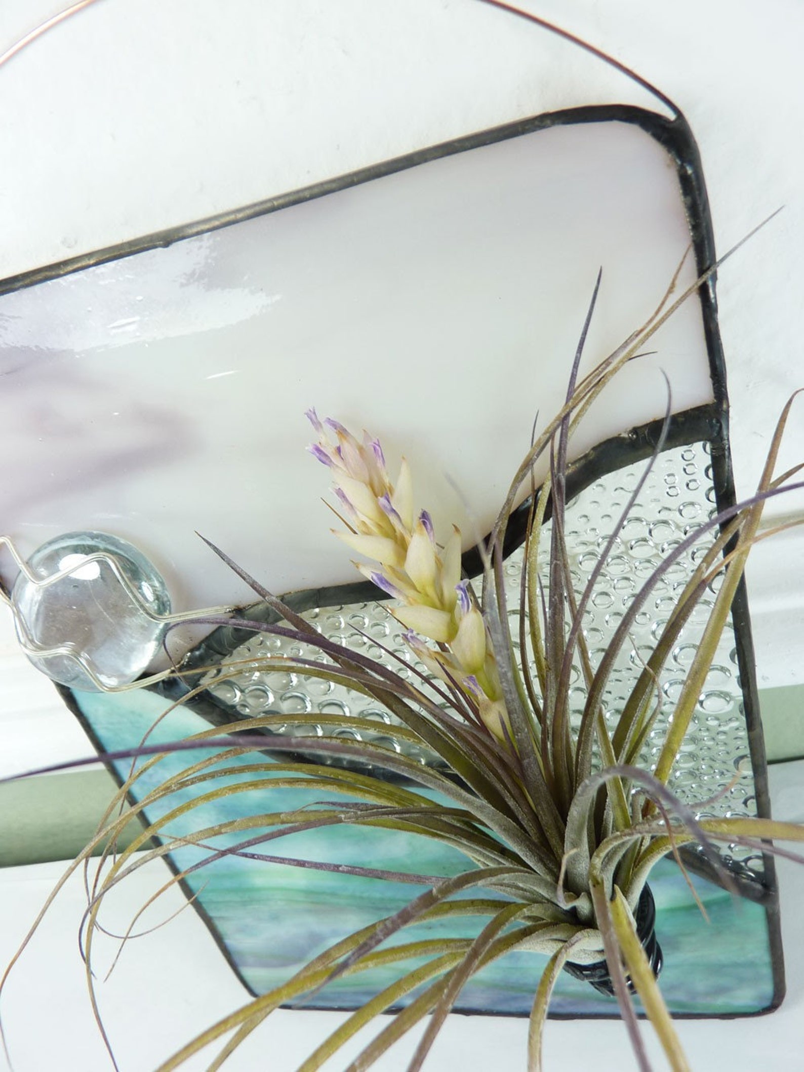 Stained Glass Panel Air Plant Holder Aqua Lilac Valley Etsy
