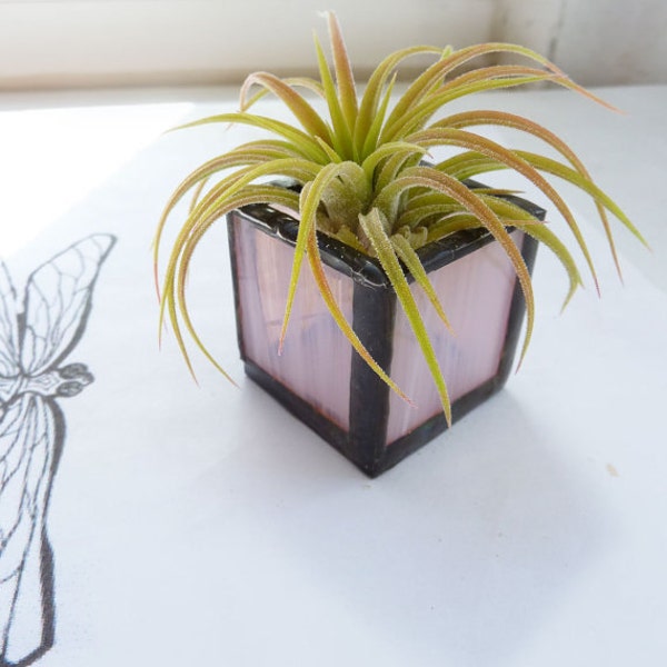 Reserved for sfwriter- Air plant holder - Two stained glass cubes - Pink and Amber