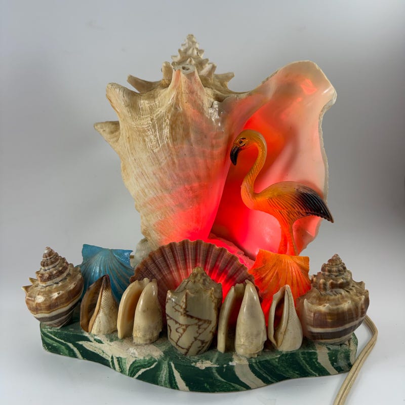 Conch Shell Lamp - Etsy
