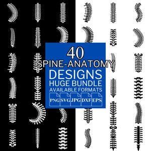 40 Spine Anatomy SVG Bundle - Unique Vector Files for Cricut and Silhouette, Spine Anatomy Designs, 5 Available Format