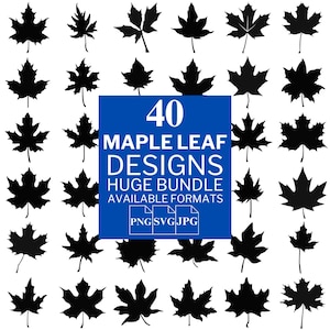40 Maple Leaf SVG Bundle - File vettoriali unici per Cricut e Silhouette, Clipart di foglie di acero, Disegni di foglie di acero, 3 formati disponibili