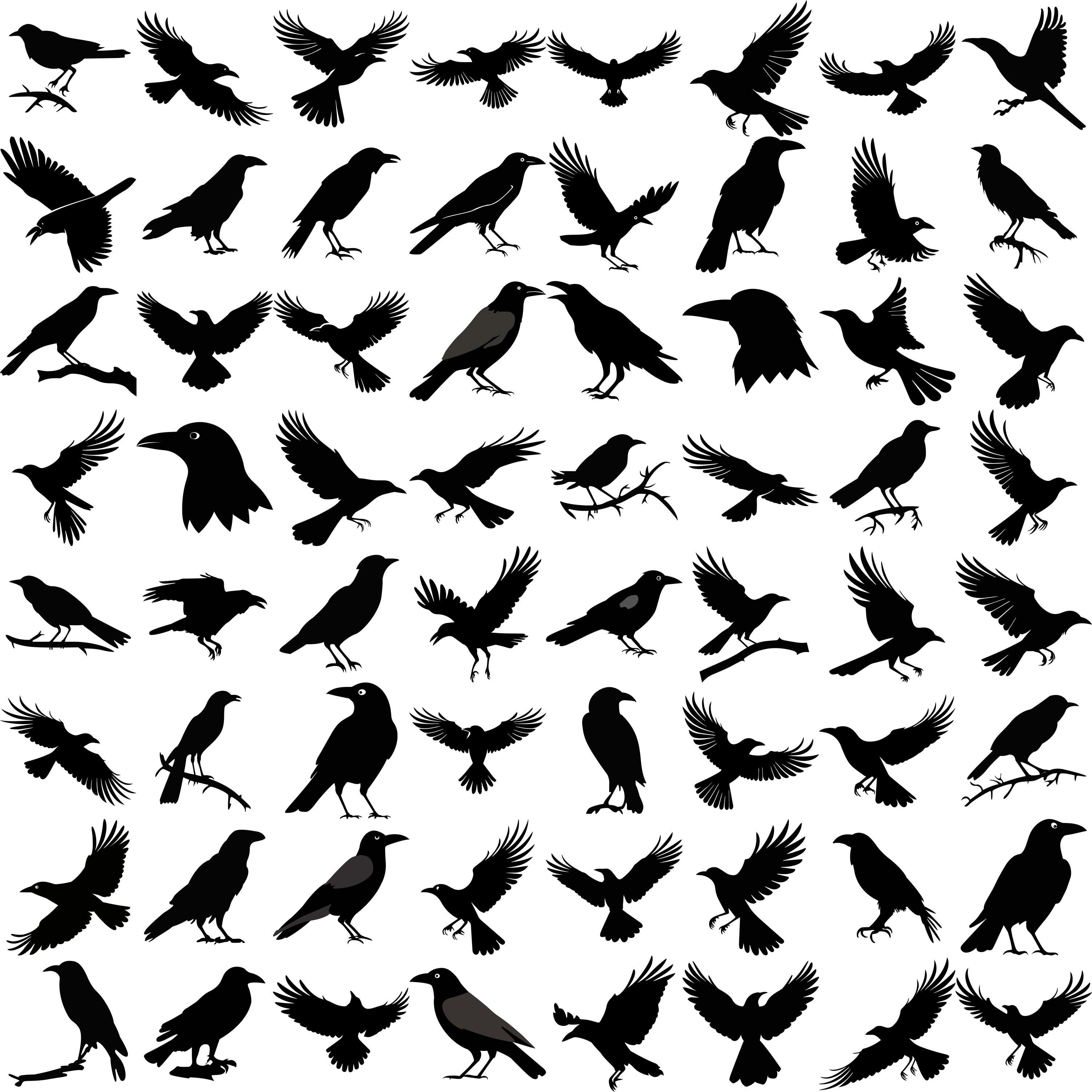 Crow SVG Bundle: 196 Vector Designs for Cricut & Silhouette (digital ...